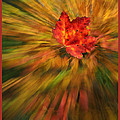 Red Leaf
