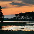 Sunrise at Chicoteague Island